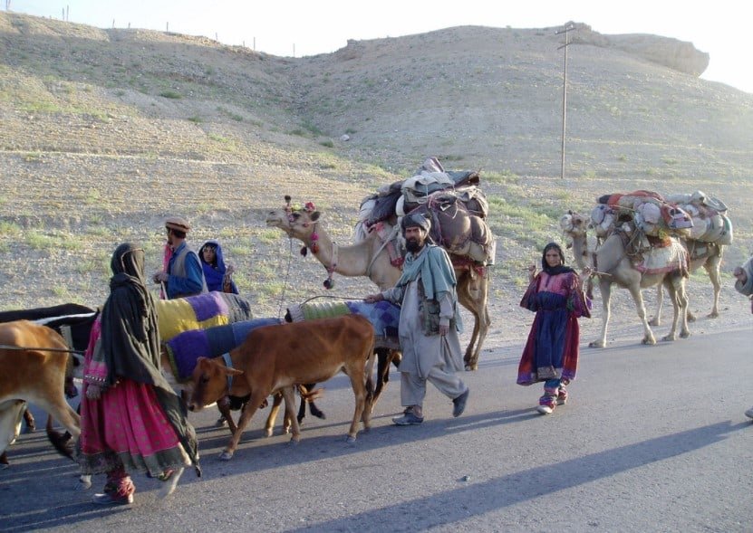 Afghan Kuchi Nomads